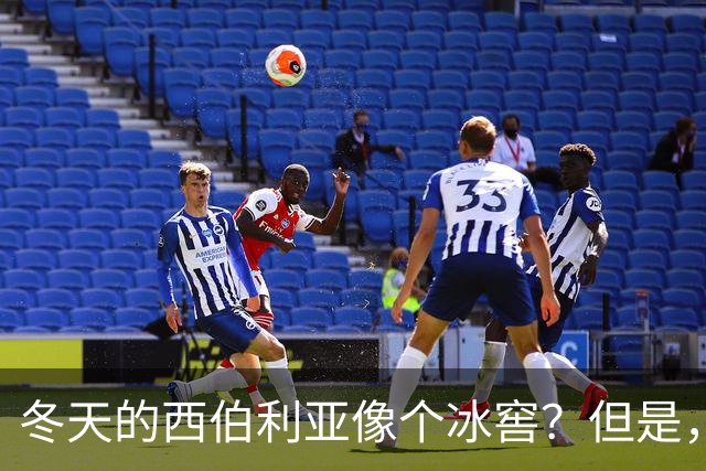 冬天的西伯利亚像个冰窖？但是，它却是俄罗斯的＂摇钱树＂